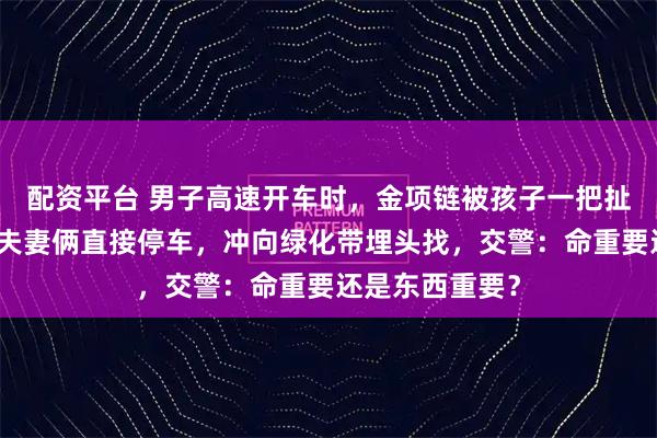 配资平台 男子高速开车时，金项链被孩子一把扯断甩出车外！夫妻俩直接停车，冲向绿化带埋头找，交警：命重要还是东西重要？
